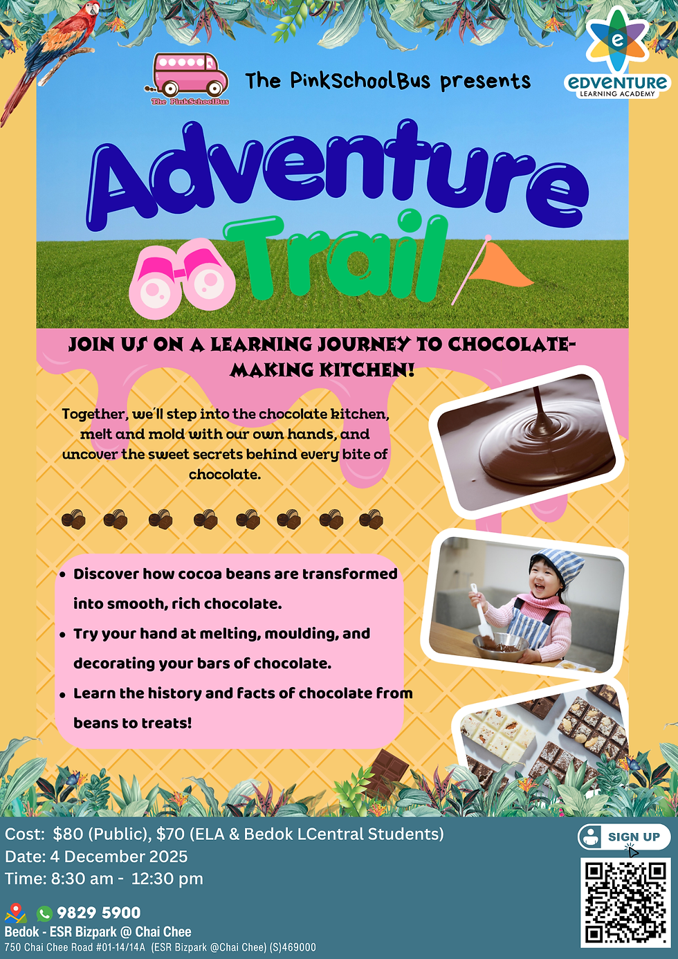 Adventure Trail: Chocolate-Making Journey! - ThePinkSchoolBus