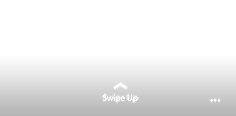 Instagram-Stories-adidasv2.png