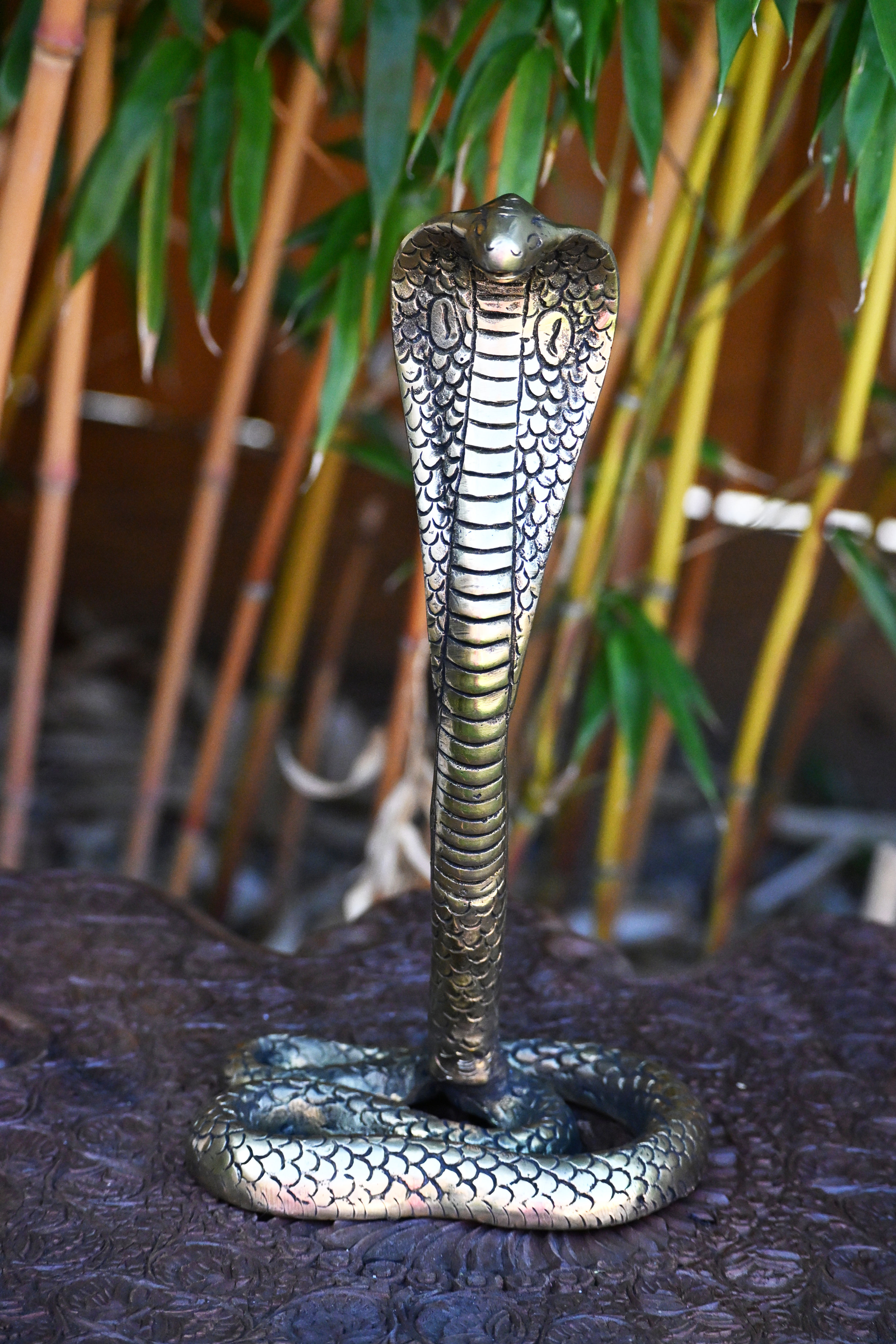 Antique Finished Brass Snake