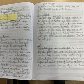 Y5/6 Writing