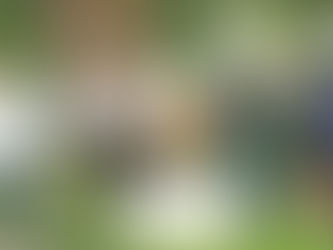 Celler Klimaplattform: Welterschöpfungstag am 2. August