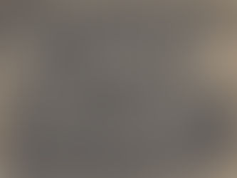 Celler Bomann-Museum bietet erste Sonntagsführung durch Sportausstellung an