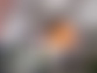 Garagenbrand in Celler Windmühlenstraße mit verletzter Person