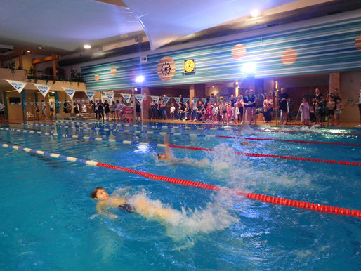 Celler Schwimm-Club ermittelt Vereinsmeister 2024