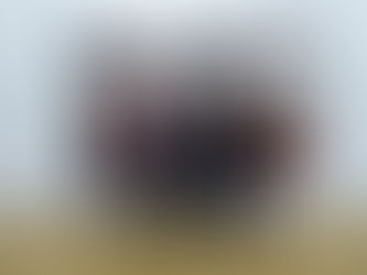 Fachkräfteintegration: vhs Celle stellt zwei Projekte bei Fachtag im Kunstmuseum vor