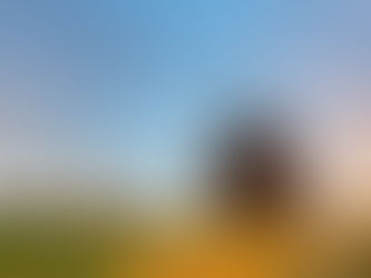 Zwischenbilanz: Ist der Sommer wirklich so schlecht?