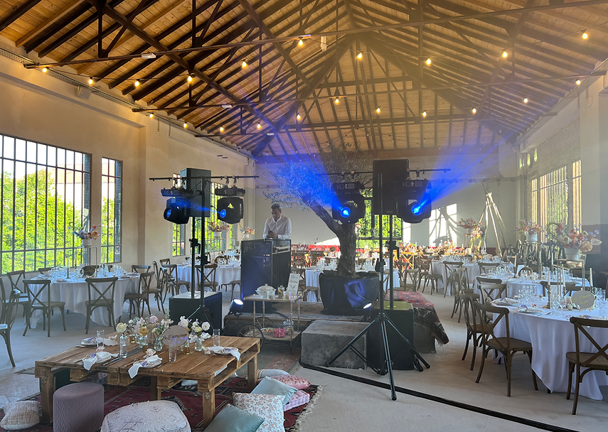 Dj avec sono pour soirée mariage, anniversaire ...
