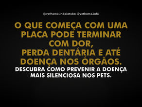 Doença periodontal em pets: o que o mau hálito do seu pet pode estar dizendo