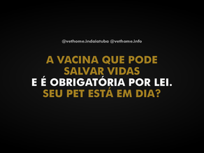 Vacinação Antirrábica