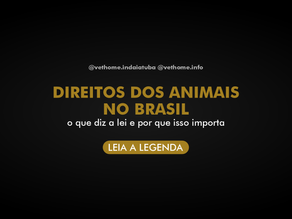 Direitos dos Animais no Brasil