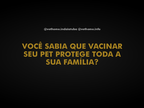 Zoonoses: As Doenças que Passam dos Animais para os Humanos — e Como Evitar Isso