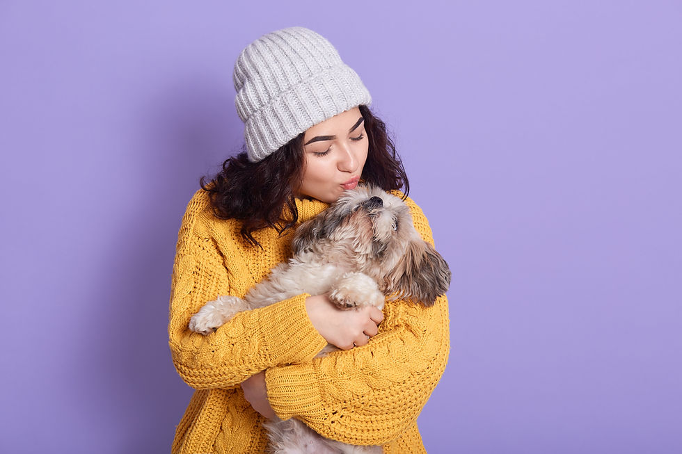 tutor beijando cachorro