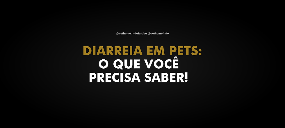 Diarreia em Pets: Tipos, Causas e Quando Procurar Ajuda Veterinária