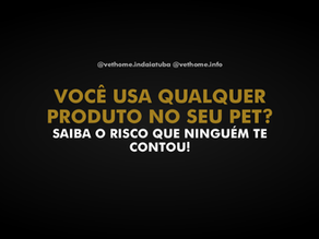 Por Que Você Nunca Deve Usar Produtos Humanos em Cães e Gatos