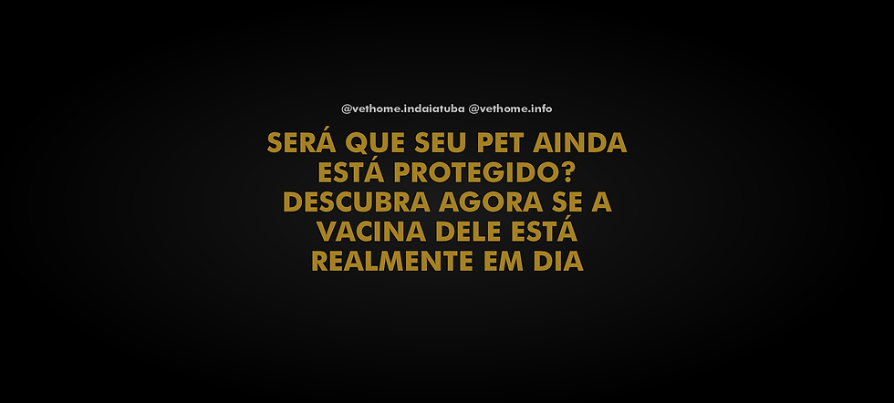 Reforço vacinal em pets