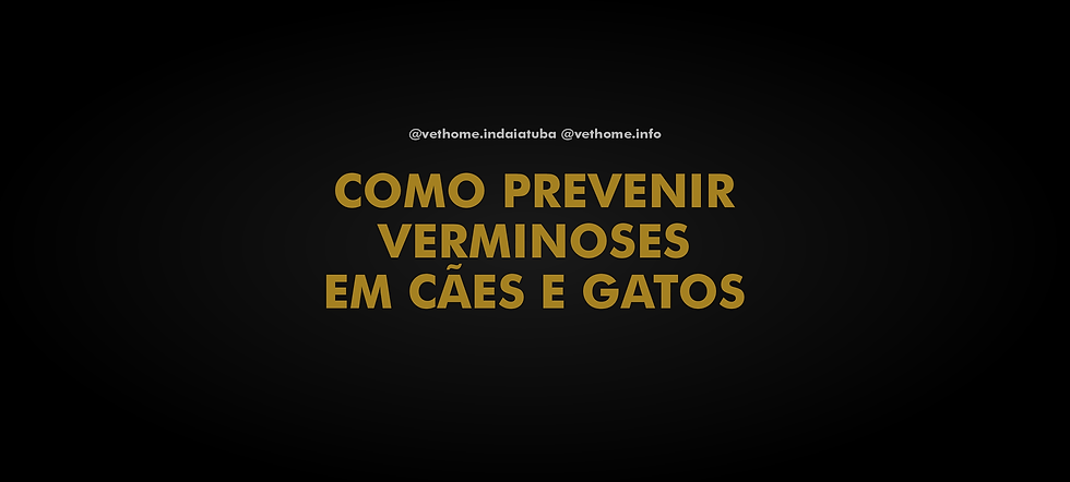 Como Prevenir Verminoses em Cães e Gatos: Guia Completo para Tutores Responsáveis
