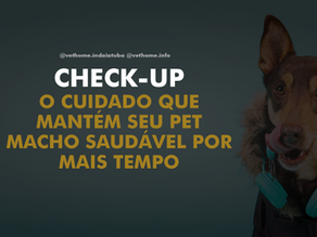 Check-up de rotina para pets machos: o segredo da longevidade e da prevenção