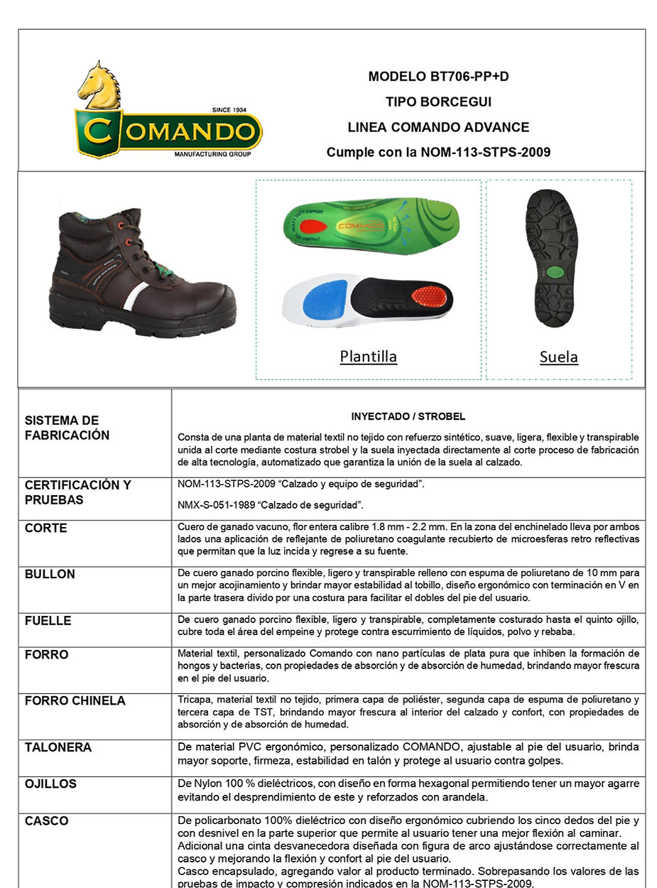 Ficha  BT706-PP+D_pages-to-jpg-0002.jpg