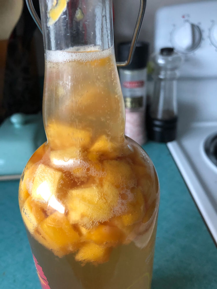 Kombucha Quick Guide to the 1st & 2nd Ferment