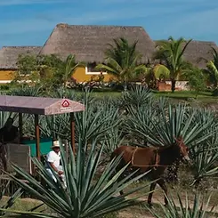Hacienda Souta de Peon