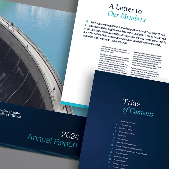 A collage showcasing cover and interior pages of the 2024 ASDSO Annual Report with dark blue
and light aqua gradients, contrasting typefaces, and a modern column grid layout.