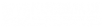 Kussmaul-Electronics_Logo_White-1.png