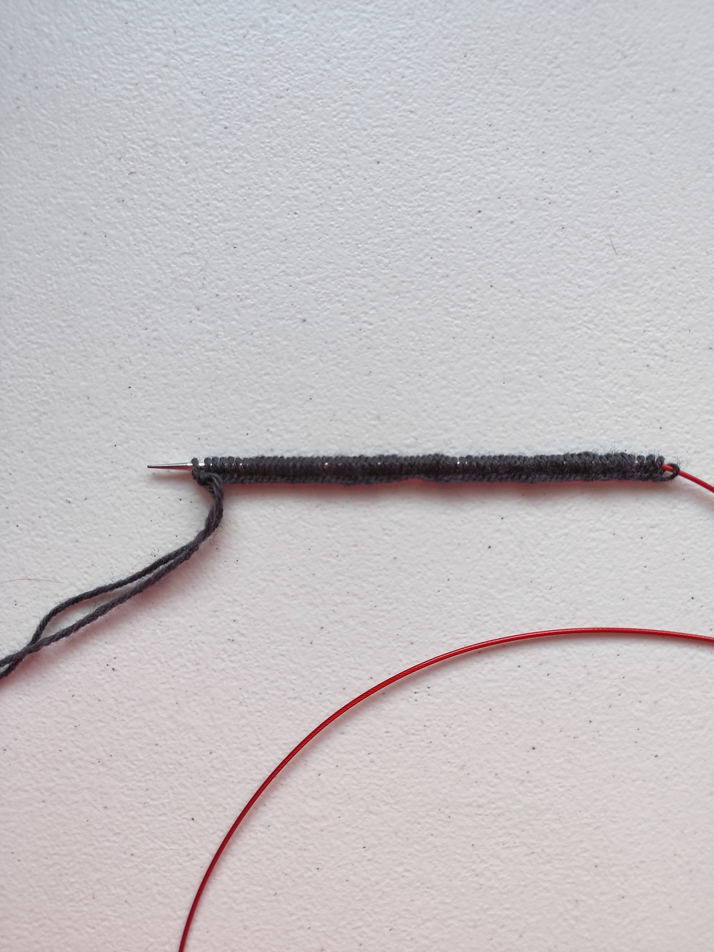 Stitches cast on to a long circular needle