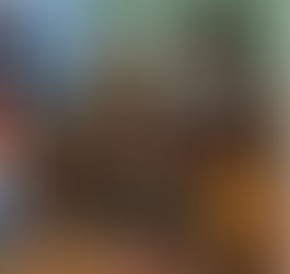 dreams were your ticket out