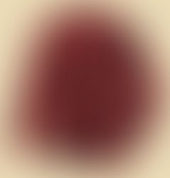 of mode and mackinaws