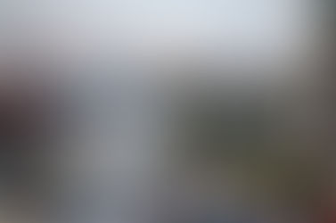 does anybody really know ...