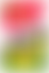 so much for tolerance