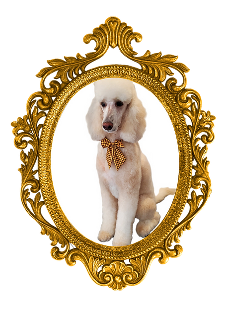 Untitled design (1).png