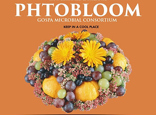 5df258a0-e73a-4095-8608-9b604152dd88_edi