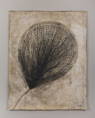 THE DANDELION