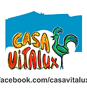 logo Casavitalux