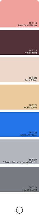 color memory 88 copy.png