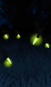 Screen Shot 2022-11-02 at 5.38.15 PM.png