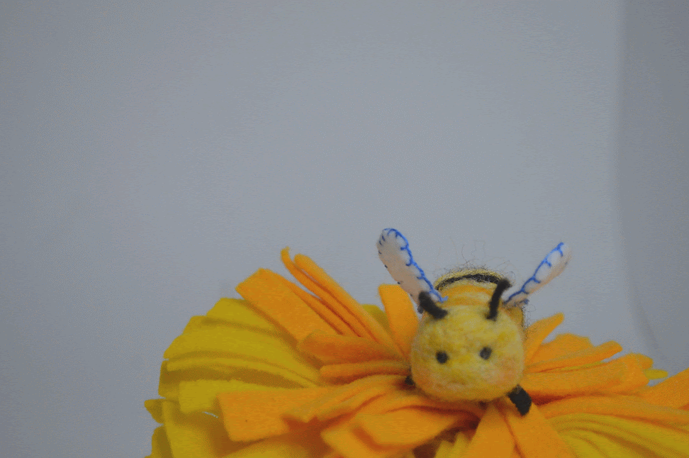 DSC_0295-ANIMATION copy.gif