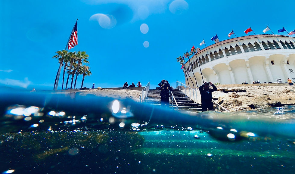 Catalina's Casino Point: Staircase to the Sea