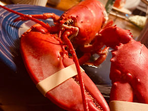 DAYS 22-30 - "We abide by the frog and worm theory."