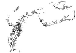 corporelle.jpg