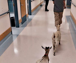 received_1054683793064587 (1).jpeg