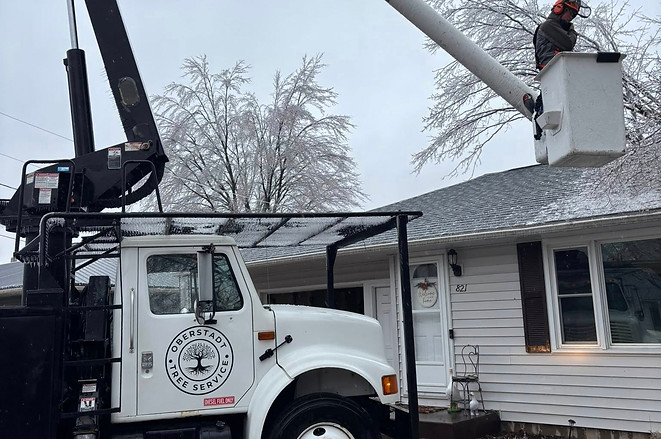 Oberstadt Landscapes Storm Tree removal
