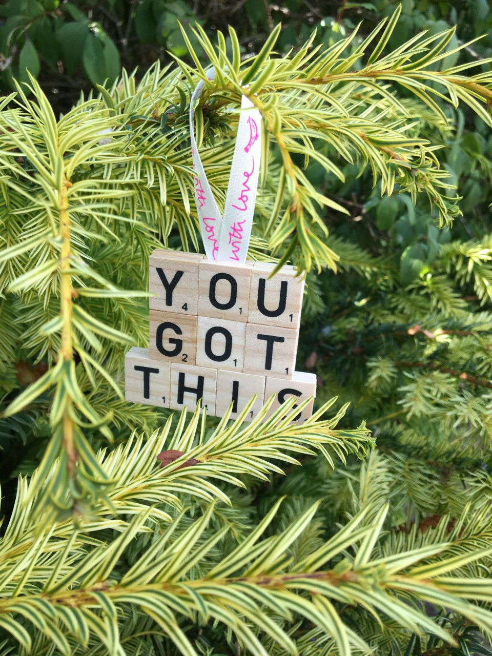 Thumbnail: Affirmation Hangers