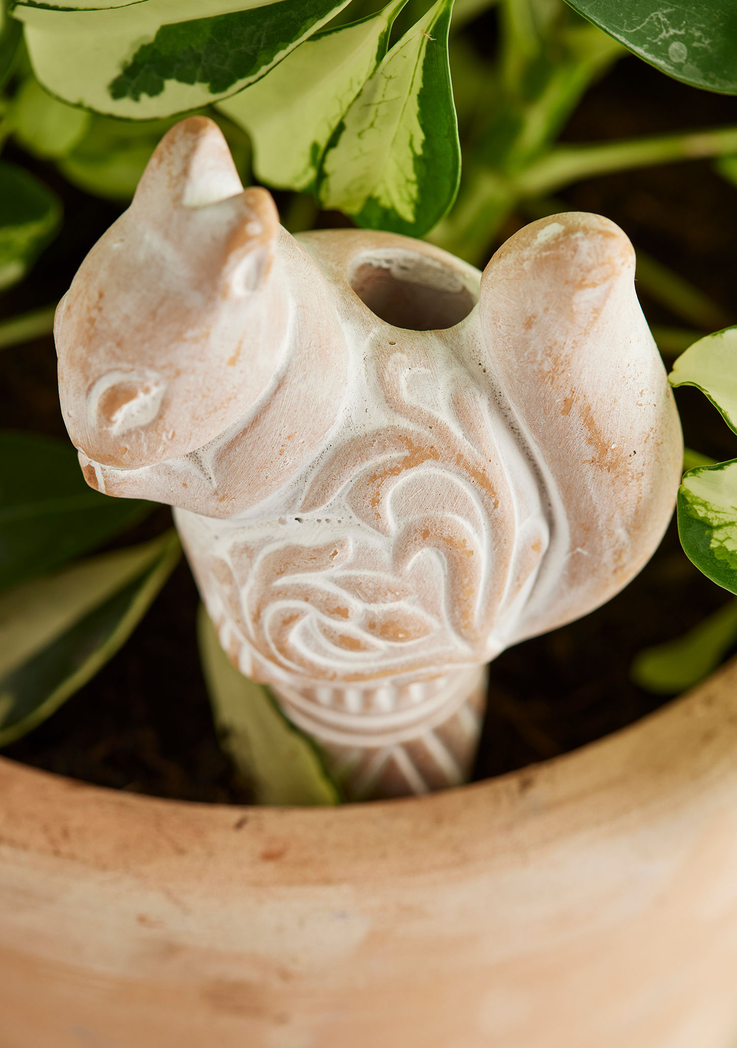TERRACOTTA PLANT WATERING SPIKE Frog, Bird & Squirrel designs