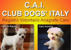 post cai_edited_edited