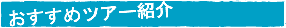 MUSUBIおすすめツアー紹介