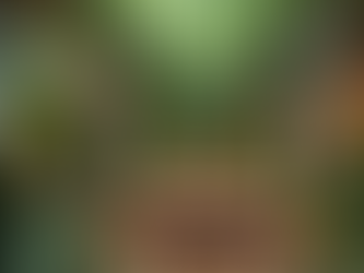 Bring the Wild Indoors: Designing a Jungle-Inspired Bar with Large Plants