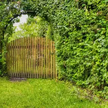 How to Create a Cohesive Outdoor Living Space from Garden to Gate