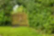 How to Create a Cohesive Outdoor Living Space from Garden to Gate